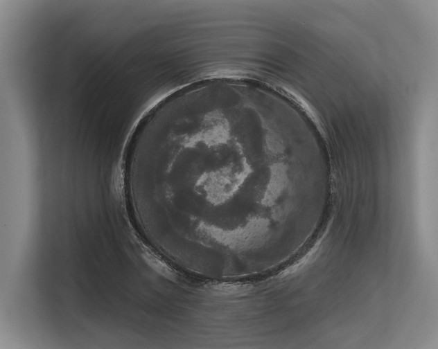 X0000113630779200909181516