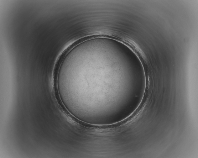 X0000113630780200909181516