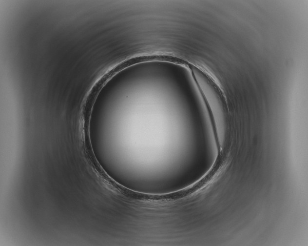 X0000113630781200909181516