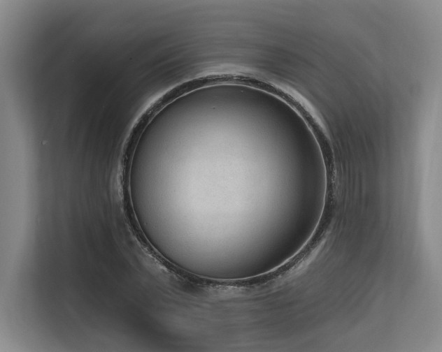 X0000113630783200909181516
