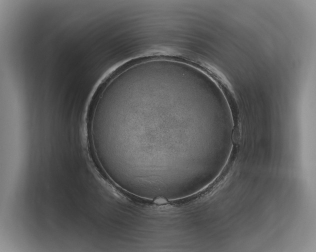 X0000113630784200909181516
