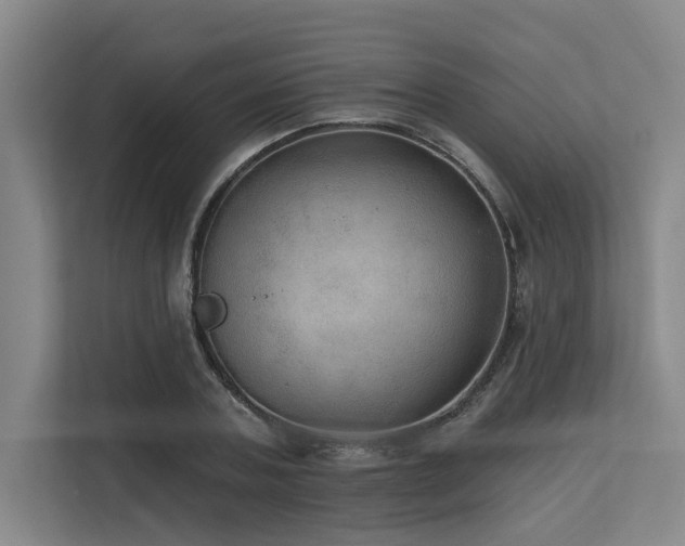 X0000113630787200909181516