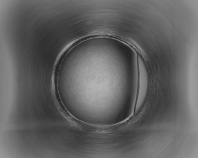 X0000113630788200909181516