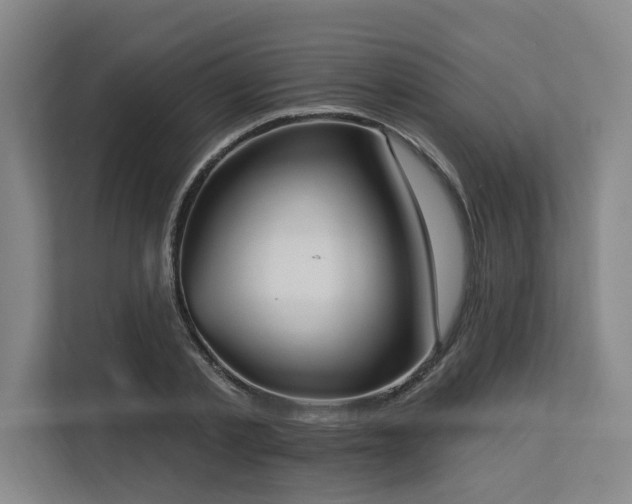 X0000113630789200909181516