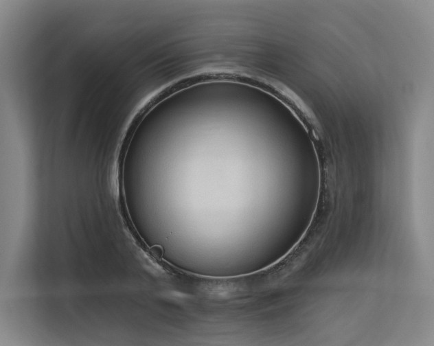X0000113630791200909181515