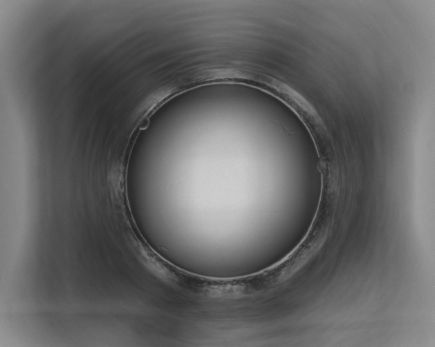 X0000113630793200909181515