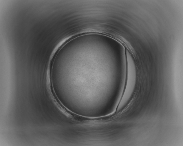 X0000113630796200909181515