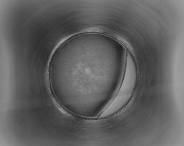 X0000113630800200909181515