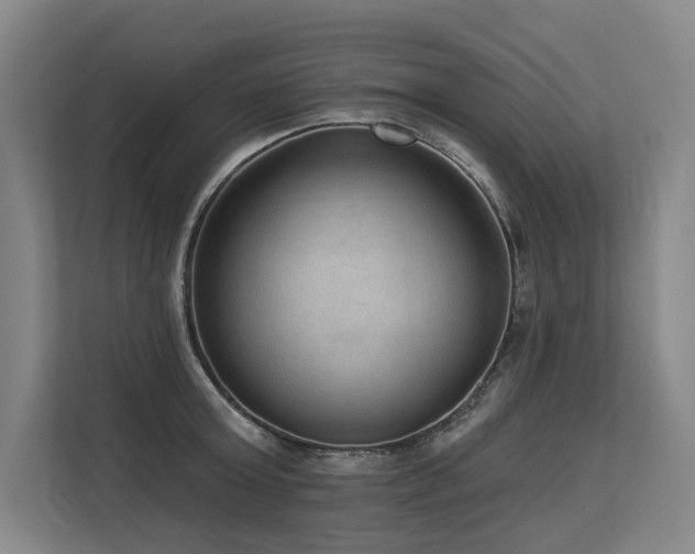 X0000113630803200909181515