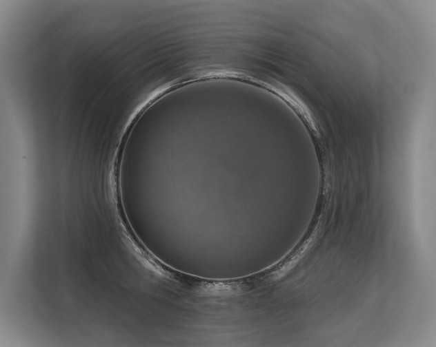 X0000113630806200909181515