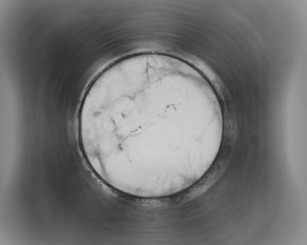 X0000113630807200909181515