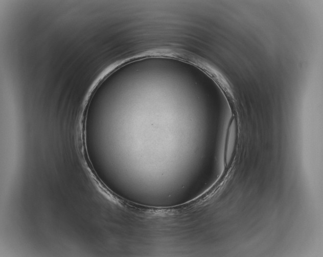 X0000113630808200909181515