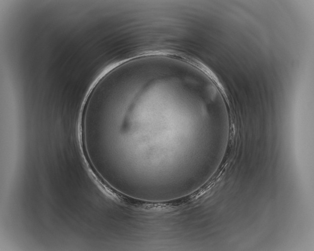X0000113630811200909181515