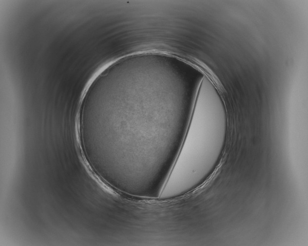 X0000113630812200909181515