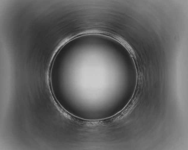 X0000113630813200909181515