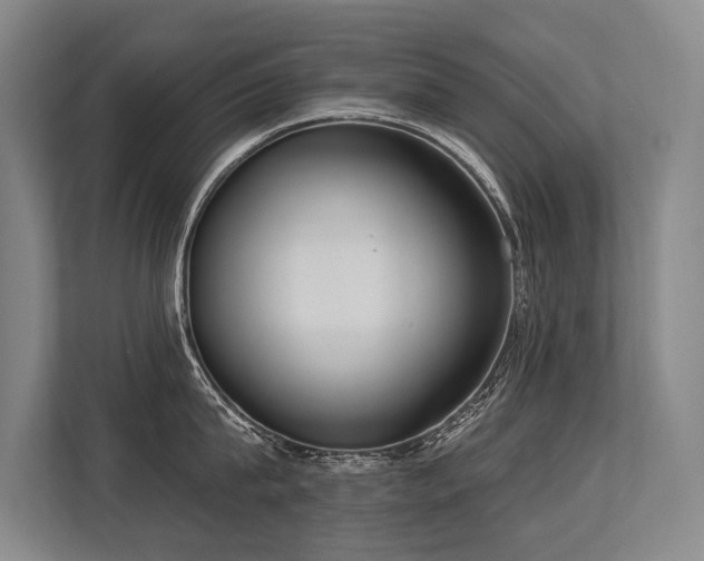 X0000113630815200909181515