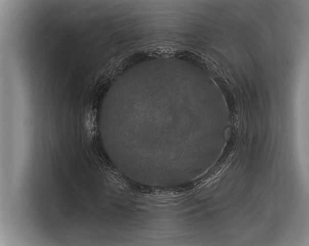 X0000113630818200909181515