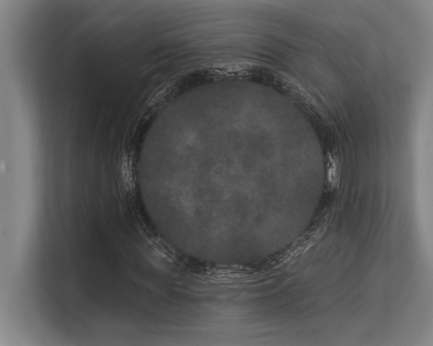 X0000113630819200909181515