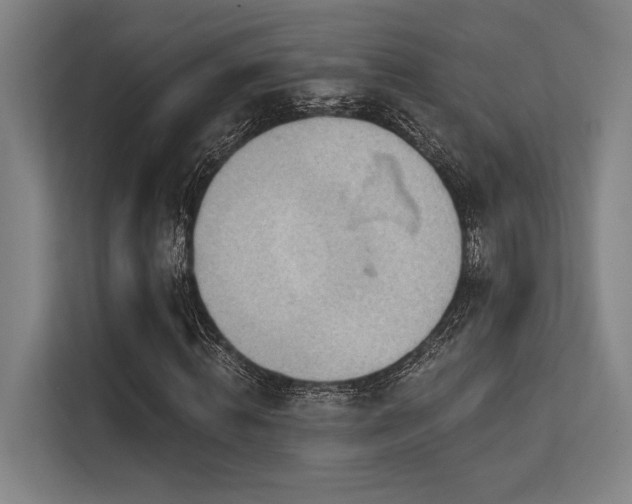 X0000113630820200909181515