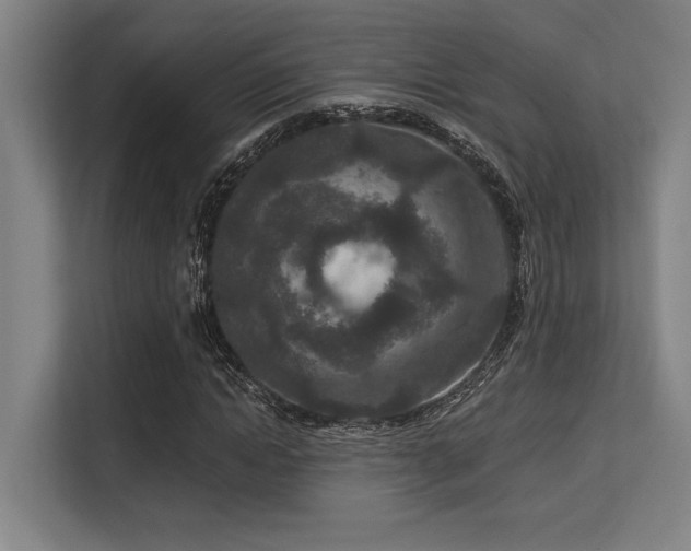X0000113630822200909181515