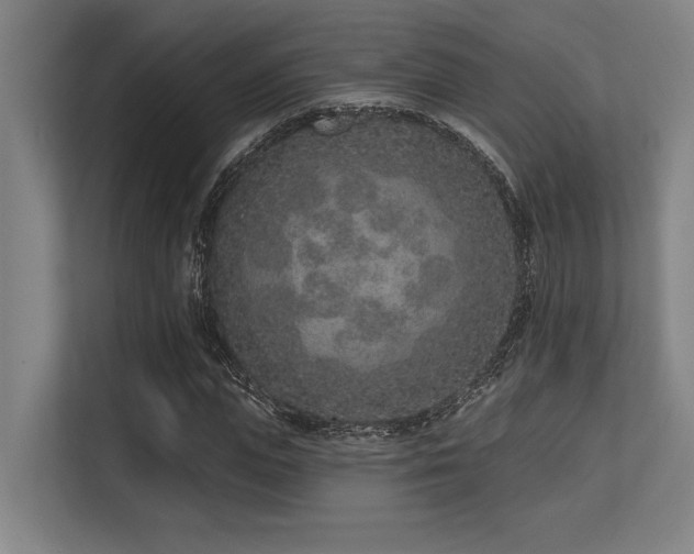 X0000113630823200909181515