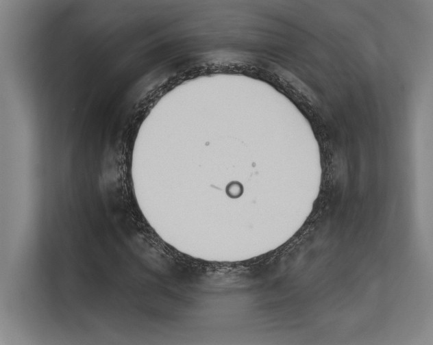 X0000113630824200909181515