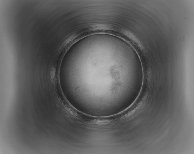 X0000113630825200909181515