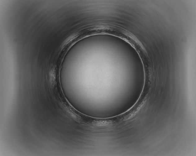 X0000113630826200909181515