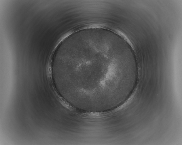 X0000113630827200909181515