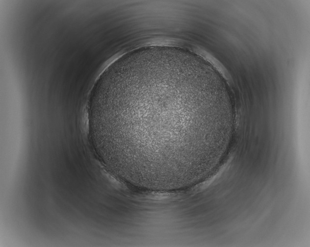 X0000113630829200909181515