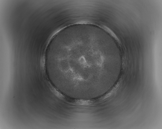 X0000113630831200909181515