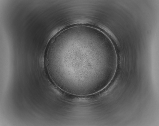 X0000113630834200909181515