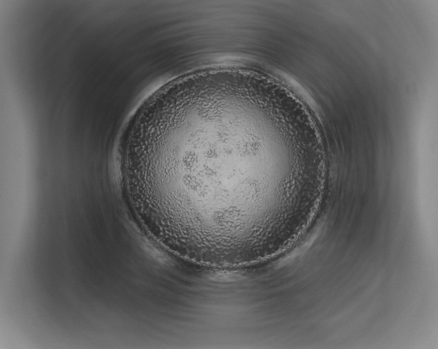 X0000113630835200909181515
