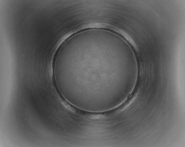 X0000113630837200909181515
