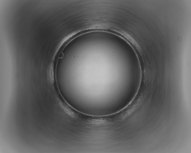 X0000113630838200909181515
