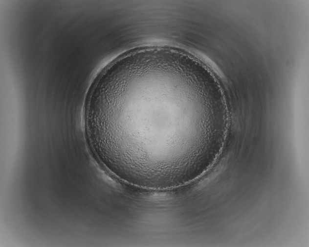X0000113630839200909181515