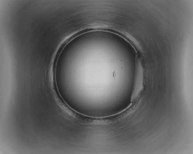 X0000113630840200909181515