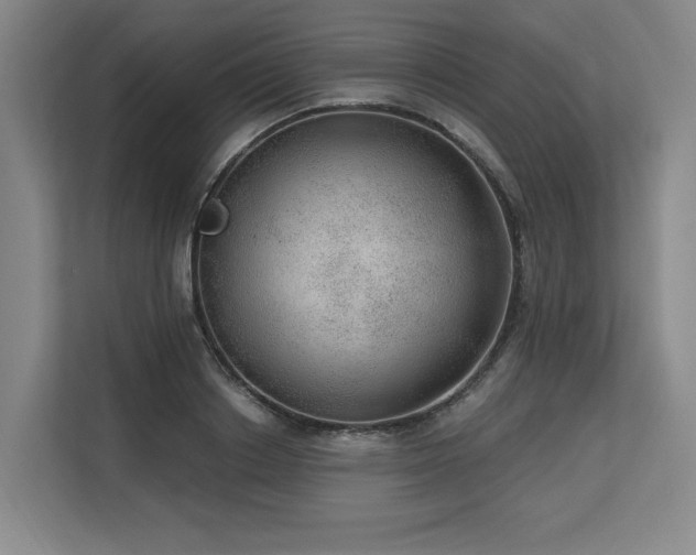X0000113630842200909181515
