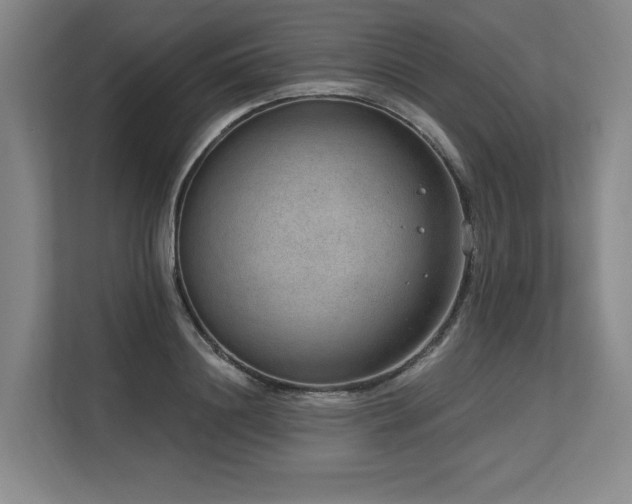 X0000113630844200909181515