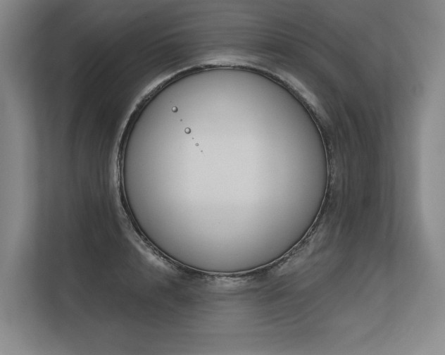 X0000113630848200909181515