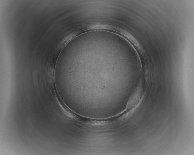 X0000113630849200909181515