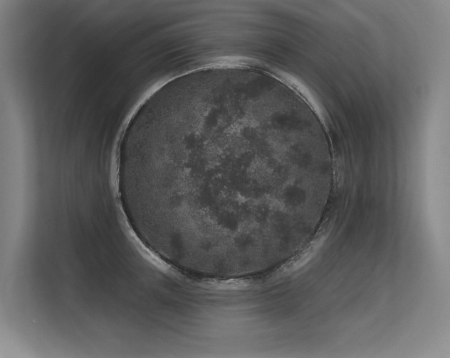 X0000113630851200909181515