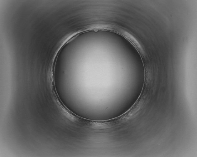 X0000113630852200909181515