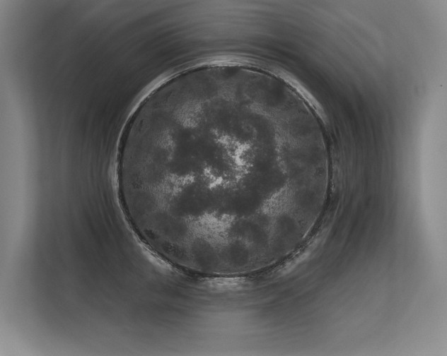 X0000113630853200909181515