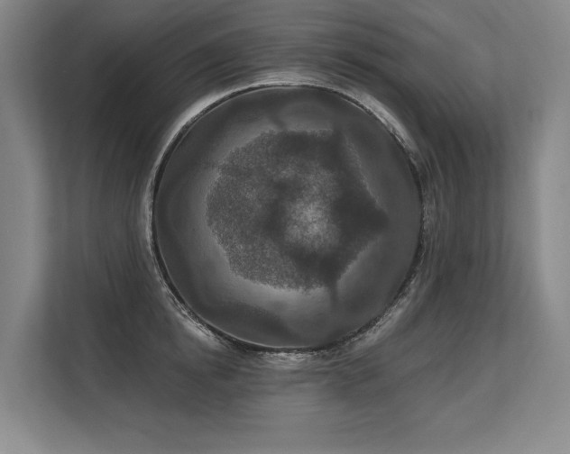 X0000113630854200909181515