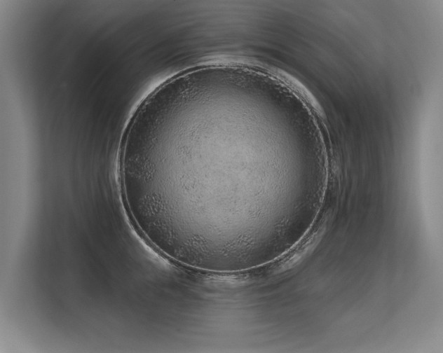 X0000113630855200909181515