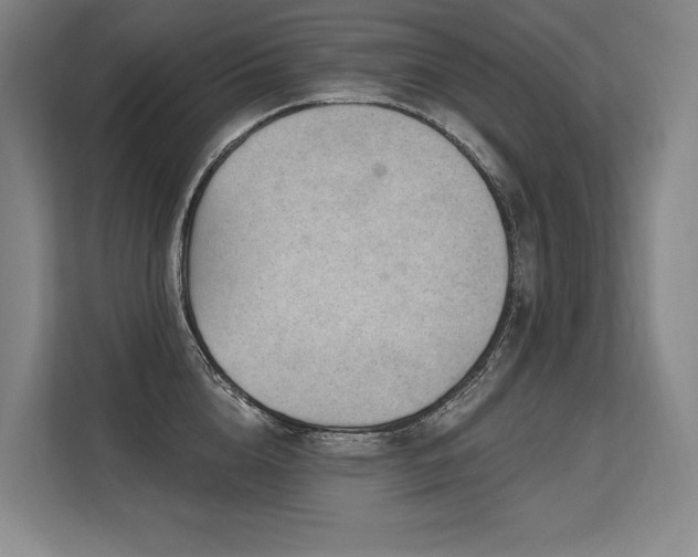 X0000113630856200909181515