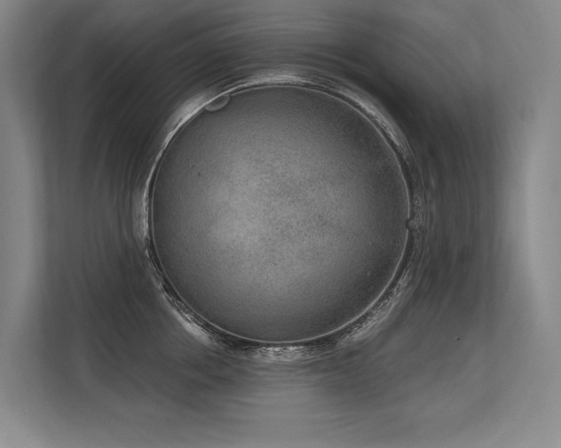 X0000113630858200909181515