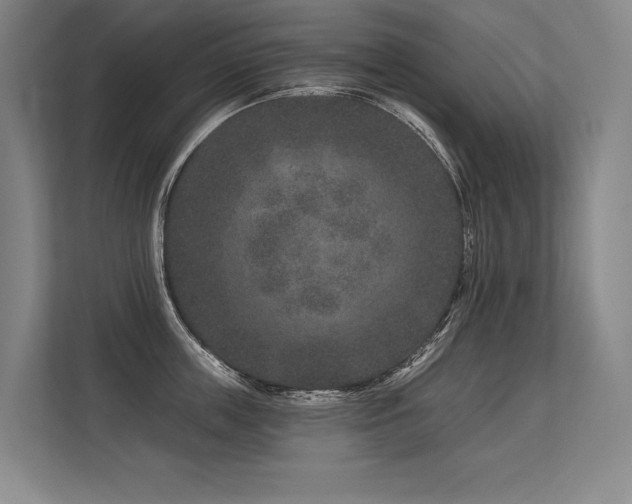 X0000113630859200909181515