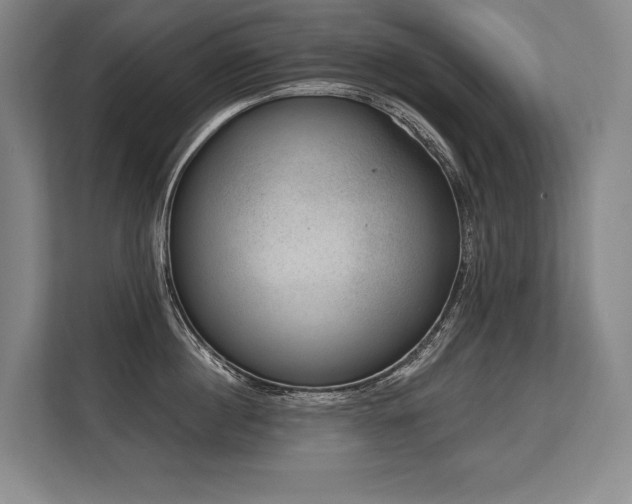 X0000113630860200909181515